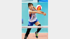 도로공사의 다양한 공격패턴, 안정적 리시브의 선순환 결과