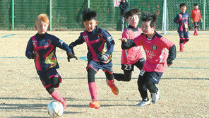 관광-레저 인프라 갖춘 경북, 동계훈련 메카로