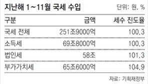 작년 세수 목표, 11개월 만에 달성
