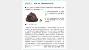 유튜브 동영상 보고 발표… 팀별 토론… 핵심은 ‘참여형 수업’