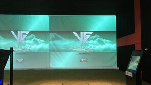 스크린타석 골프연습장 창업시즌, 부실업체 주의보