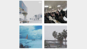 “난민수용소” “강제 추가여행” “가즈아, 나는 간다”…‘폭설’ 혼돈의 제주공항 