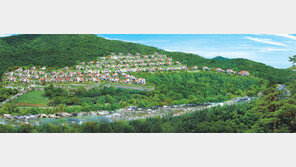 [화제의 분양현장]유럽 지중해 마을을 옮겨온 듯…홍천 대곡리 힐링마을 3단지