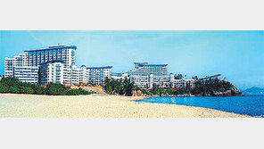 [화제의 분양현장]대명리조트 38주년 기념 정회원권 분양