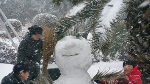 [청계천 옆 사진관]한파가 만든 풍경, 시민들은 추위 어떻게 이겼나?