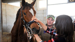 말산업 배우러 호주로…‘1년 체류’ 해외 인턴십 참가자 모집