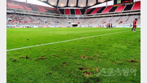 K리그, 잔디 평가제로 질 높인다