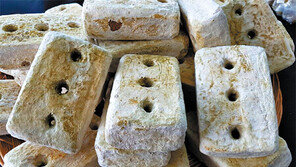 경남 사천시 용현농협 12일 ‘콩 가공공장’ 준공식