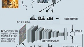 사람이 본 장면, AI가 그대로 그려준다