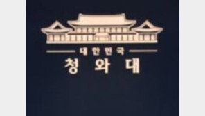 청와대 “박상기 가상화폐 규제 발언, 靑과 조율 안 해…더 할 말 없다”