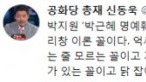 신동욱 “박지원 ‘박근혜 명예훼손’ 1심 무죄, 깨진 유리창 이론 꼴”