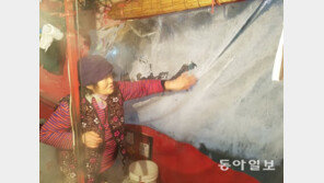 한파·폭설로 ‘겨울왕국’ 된 한반도…곳곳에서 추위와의 전쟁