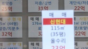 집값 잡겠다고? 강남선 “노무현정부 시즌2” 콧방귀