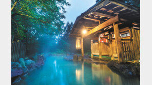 [여행, 나를 찾아서]순백의 눈꽃 세상… 日 아키타-니가타서 만나는 ‘따뜻한 힐링’