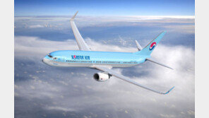 스마트 캐리어, 리튬 배터리 분리 못하면 항공운송 제한