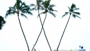 하와이에 북한 탄도미사일 경보…골퍼들 대피 대소동