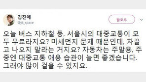 김진애 “서울시 대중교통 무료…주중엔 대중 교통 애용 습관 늘어야”