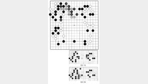 [바둑]알파고 vs 알파고 특선보… 불가피한 타협
