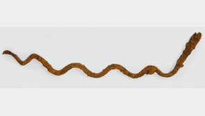 1500년전 대가야 무사 복원, 한걸음 앞으로