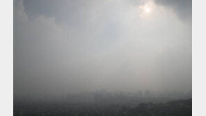 서울 미세먼지 ‘나쁨’… ‘서울형 초미세먼지 민감군 주의보’까지 발령