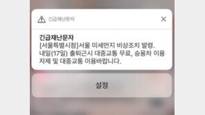 미세먼지 비상저감조치 또 발령…17일 서울 출·퇴근 대중교통 무료