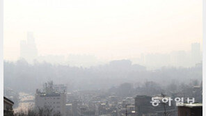 미세먼지 비상저감조치, 17일 서울 대중교통 또 무료…“마스크나 지급” 냉담