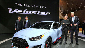 “짜릿한 드라이빙”… 현대차, 고성능 벨로스터N 첫 공개