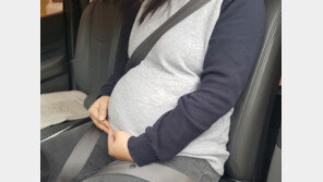 옥천군 “임신부 車안전벨트 빌려드려요”