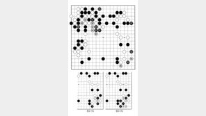 [바둑]알파고 vs 알파고 특선보… 그럴 가치가 있을까