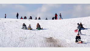 제주는 지금 ‘순백의 설국’…“추억을 만드세요”