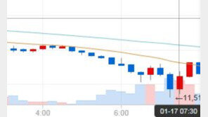 정부 잇단 규제 발언에…가상화폐 시세 폭락