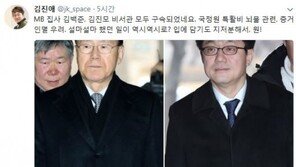 김진애 “김백준·김진모 구속…혐의 입에 담기도 지저분” 