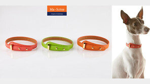 마센느, 목걸이형 동물등록 마이크로칩 인식표 ‘디어페퍼’ 출시