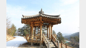 올림픽 아리바우길, 대왕암 솔바람길…겨울 낭만이 가득