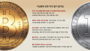 美금융권 “비트코인, 허상이라 하기엔…”