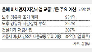 미세먼지, 하루 48억짜리 ‘반짝 대책’만으로 효과 있을까