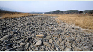 강원 영동지역 겨울 가뭄 심상찮다