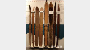 [단독]‘고대 원형’ 한반도 스키 106년 만에 돌아온다