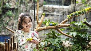 아쿠아플라넷 일산, 아이모델 선발대회