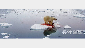 [책의 향기]극한의 추위… 수면 위로 드러난 인간의 날선 본성