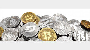 실체 없다지만 한계도 없다