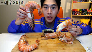 [대박! 이거 봤어?] 먹방 유튜버에게 새우 3마리란?