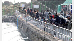 송도 방파제 바다낚시 북적