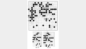[바둑]알파고 vs 알파고 특선보… 흑의 딴생각