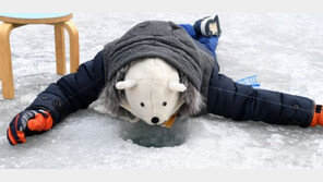 산천어 기다리는 아기 백곰?