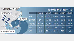 삼한사온 아닌 ‘칠한칠미’