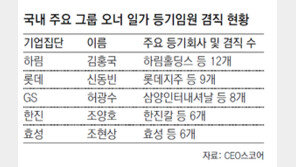 김홍국 회장, 계열사 12곳 등기임원 겸직