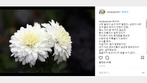조민아, 故전태수 애도 “혼자 많이 아팠구나 미안해…”