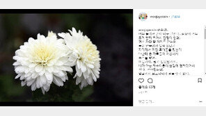 조민아, 전태수 애도 글 역풍…“관심 끌려 하나” 비난 일자 글 삭제