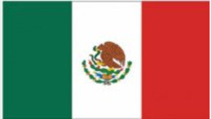 하루 평균 81명이 살인 사건으로 사망하는 나라는 어디?